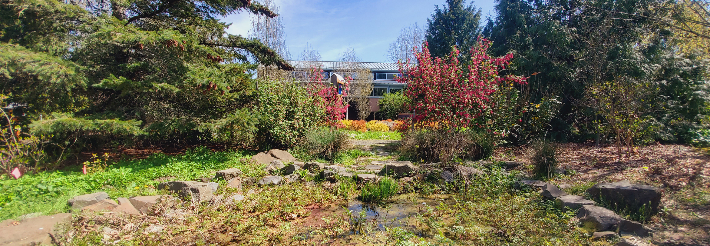 Well-designed low-water landscape